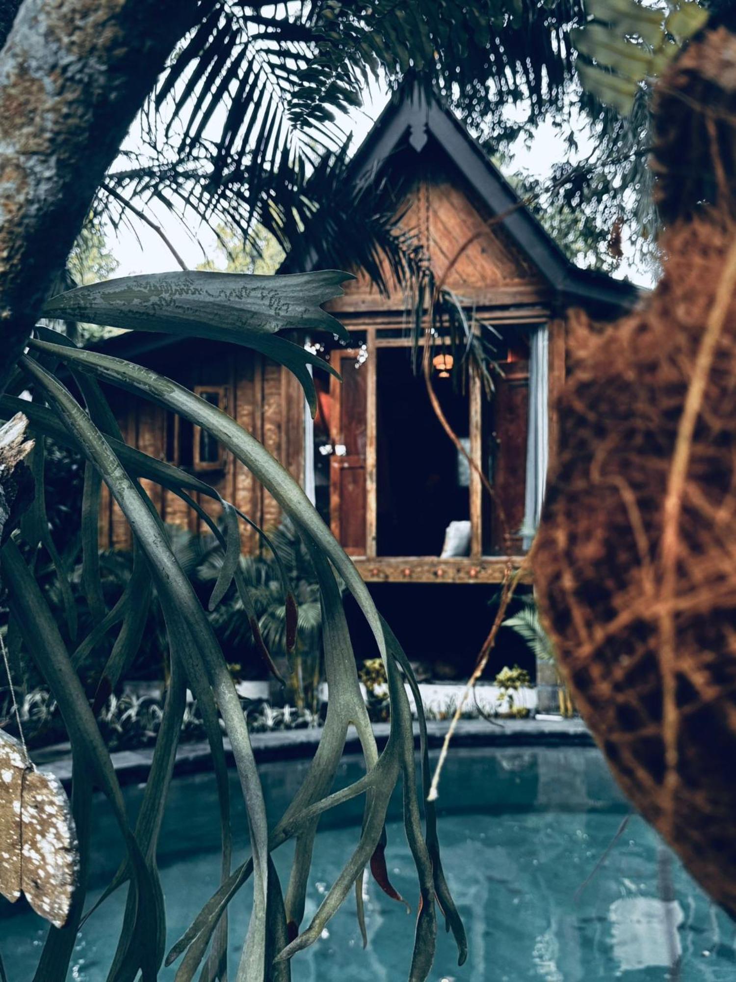 Resort Jungleroom Canggu ภายนอก รูปภาพ